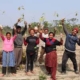Medewerkers van Eden Reforestation Projects planten bomen aan